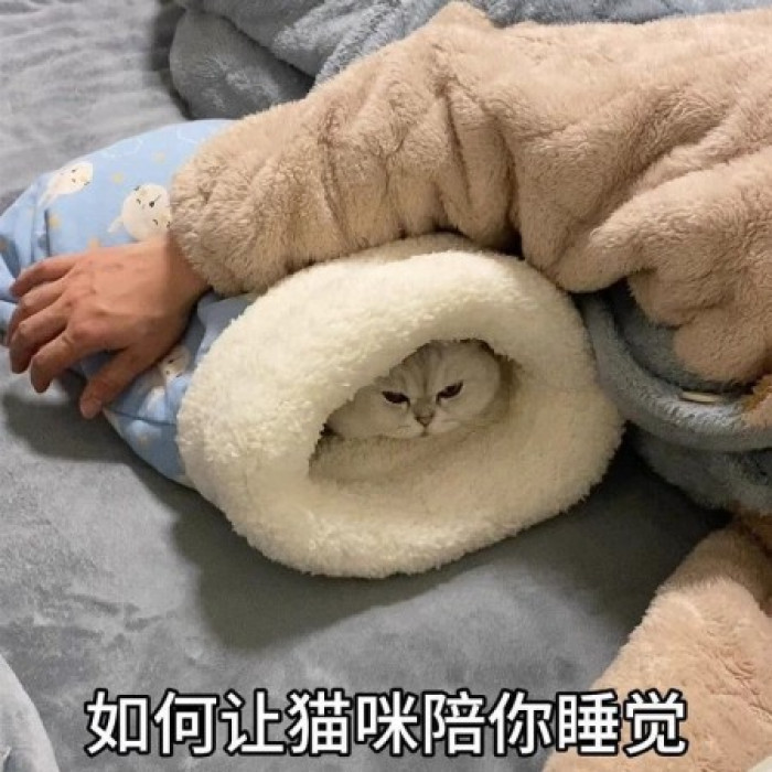 Cat Sleeping Bag – Keep Your Cat Warm and Cozy This-Winter - Image 5
