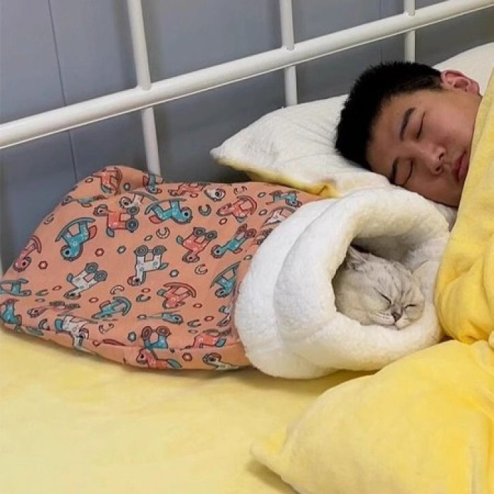 Cat Sleeping Bag – Keep Your Cat Warm and Cozy This-Winter - Image 2